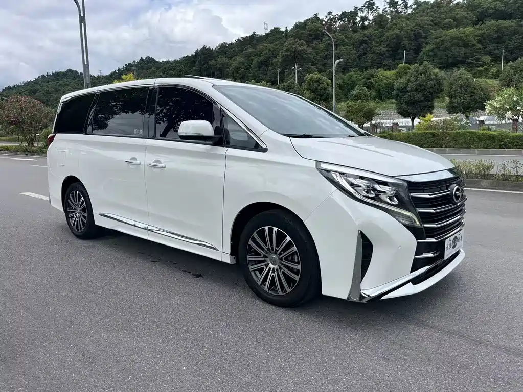 GAC Trumpchi M8 2021 — фото 3