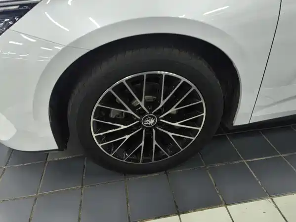 BYD Qin L 2024