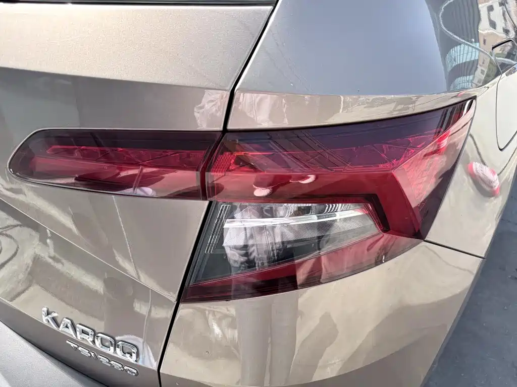 Skoda Karoq 2020 — фото 19
