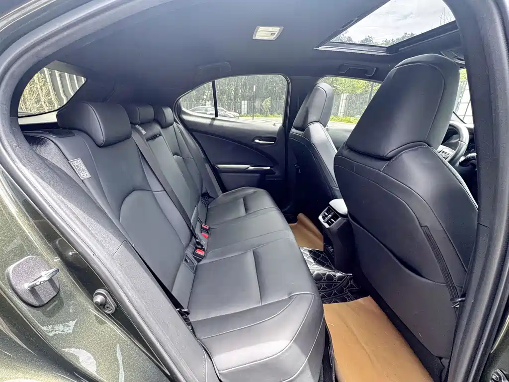 Lexus UX New Energy 2021 — фото 12