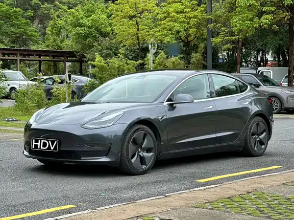 Tesla Model 3 2019