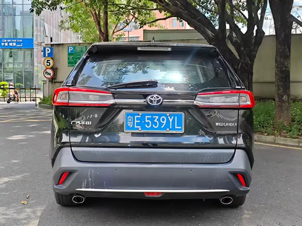 Toyota Wildlander 2020 — фото 10