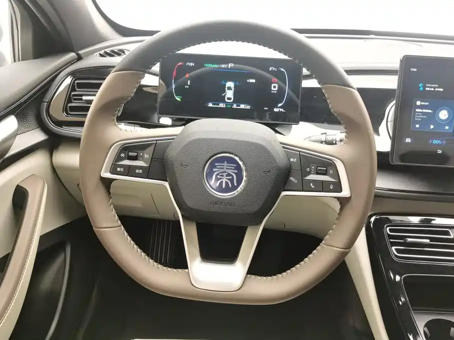 BYD Qin PLUS 2024 — фото 15