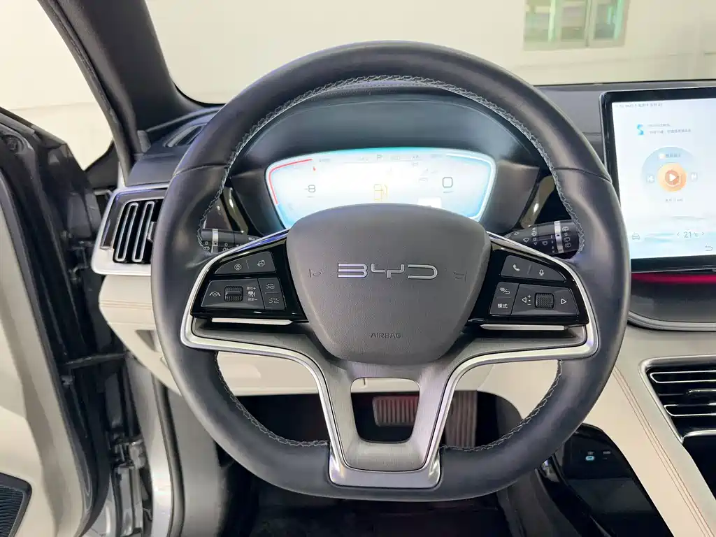 BYD Song PLUS New Energy 2023 — фото 18