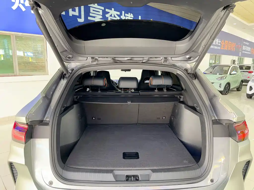 BYD Song PLUS New Energy 2023 — фото 15