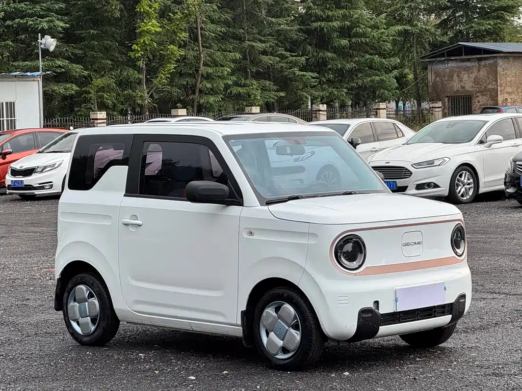 Geely Galaxy Panda 2024