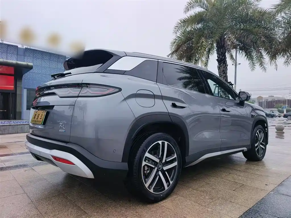 BYD L DM-i 2025 — фото 7