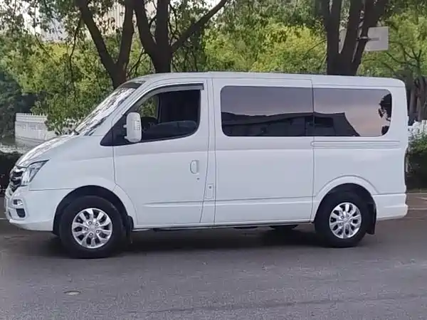 Maxus V80 2020