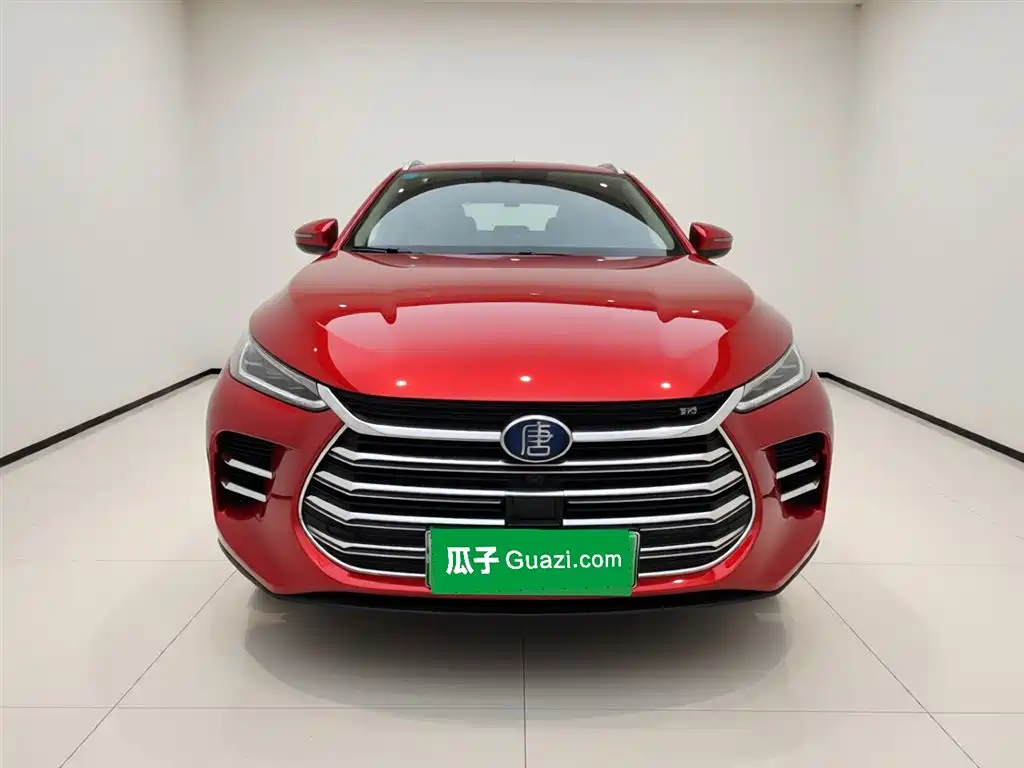 BYD Tang New Energy 2020 — фото 3