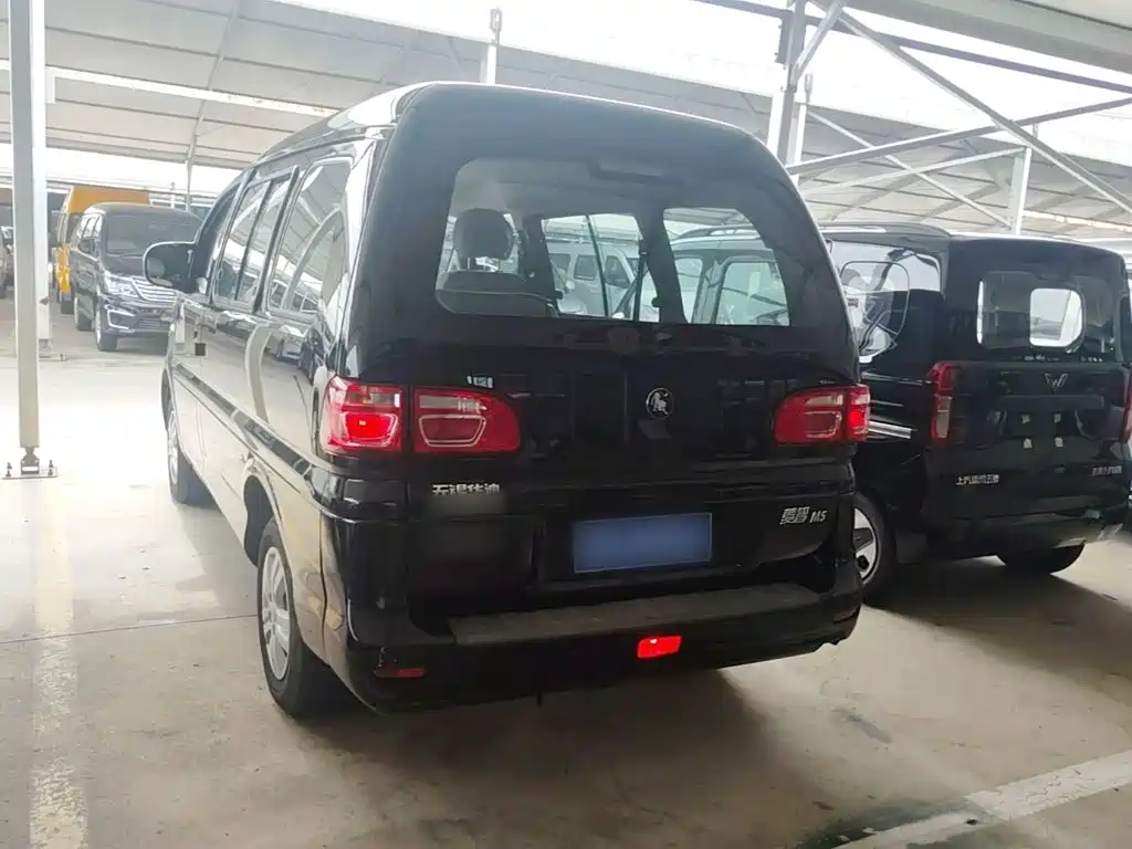 Fengxing Lingzhi 2024