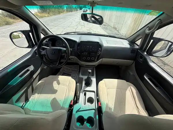 Dongfeng Lingzhi 2017