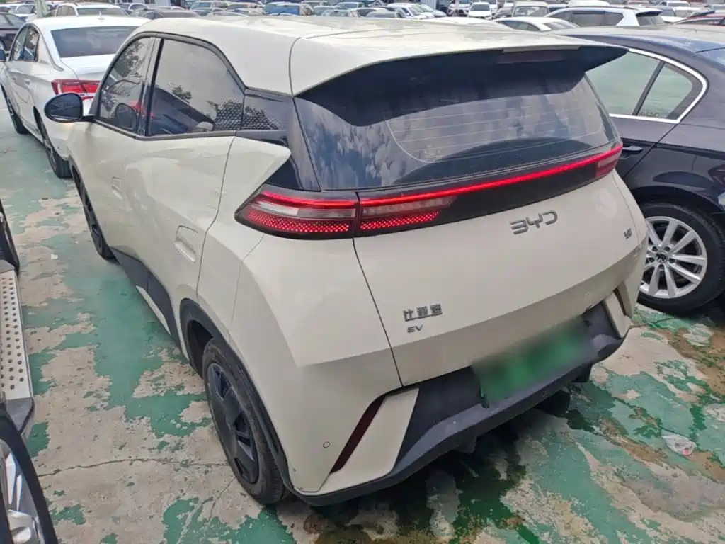 BYD Seagull 2024