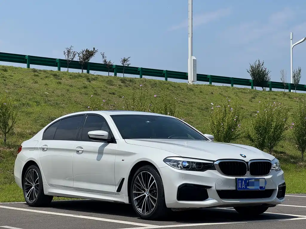 BMW 5 Series 2019