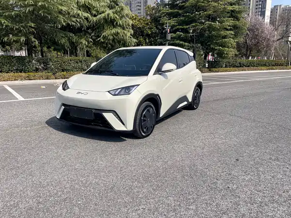 BYD Seagull 2024