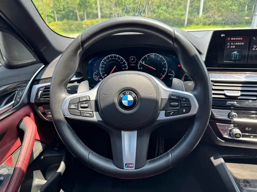 BMW 5 Series 2019 — фото 8
