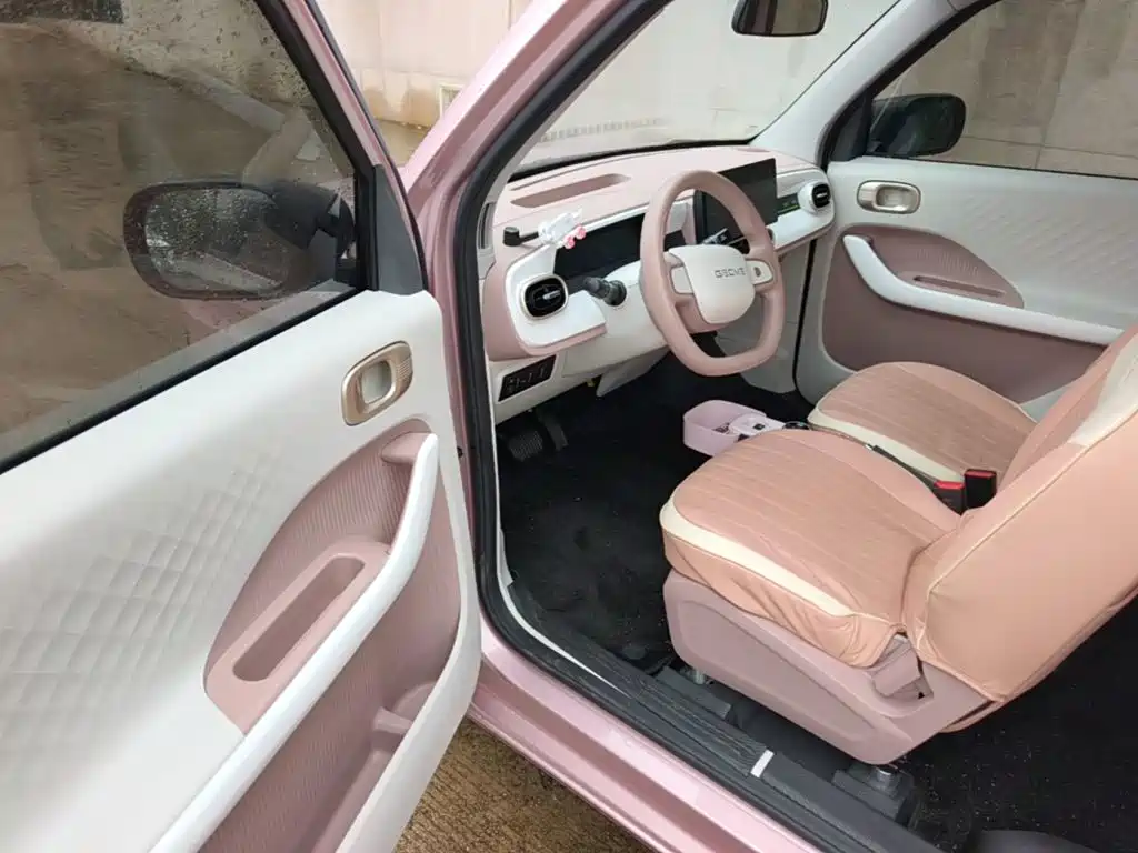 Geely Galaxy Panda 2025 — фото 16