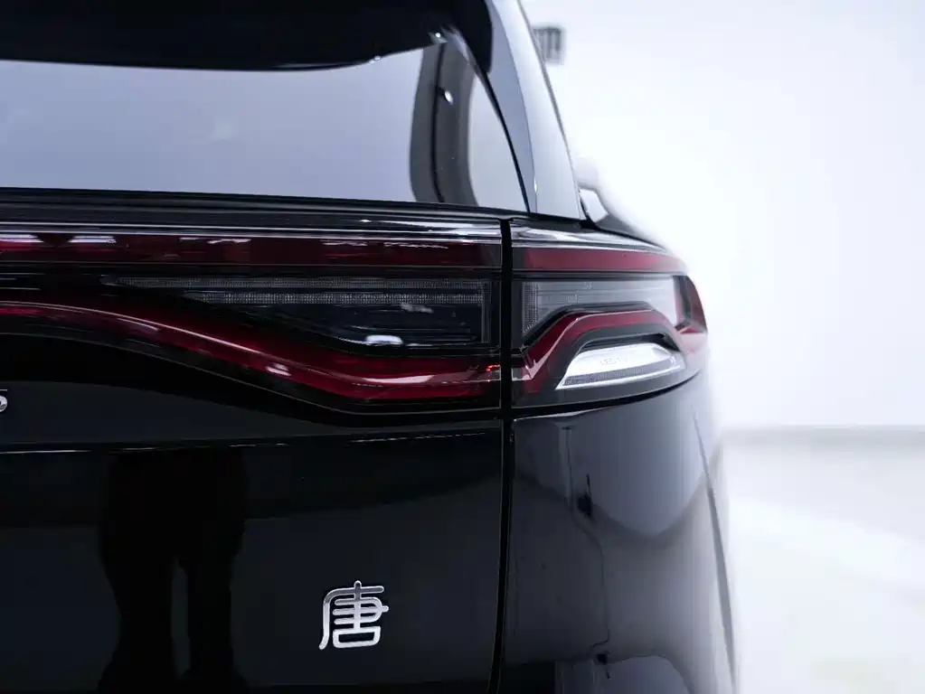 BYD Tang New Energy 2023 — фото 14
