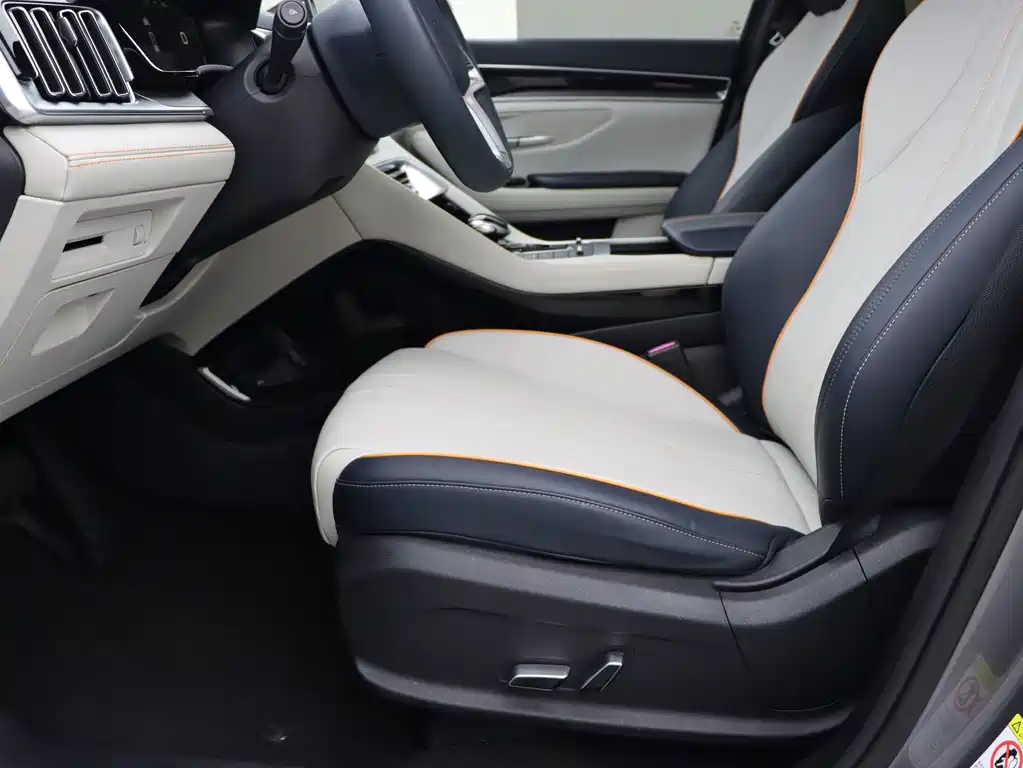 BYD Song PLUS New Energy 2022 — фото 6