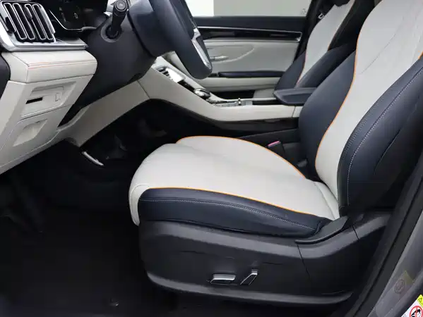 BYD Song PLUS New Energy 2022
