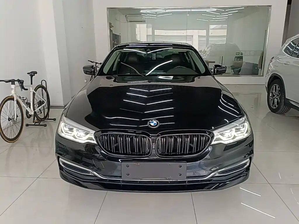 BMW 5 Series New Energy 2020