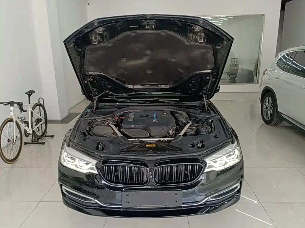BMW 5 Series New Energy 2020 — фото 20