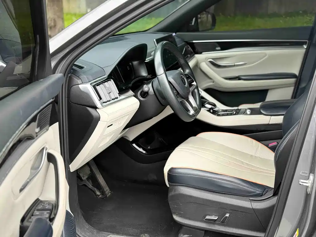 BYD PLUS New Energy 2022 — фото 8
