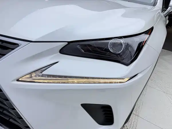 Lexus NX 2019