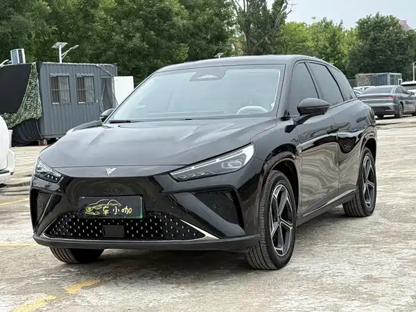 Neta L 2024
