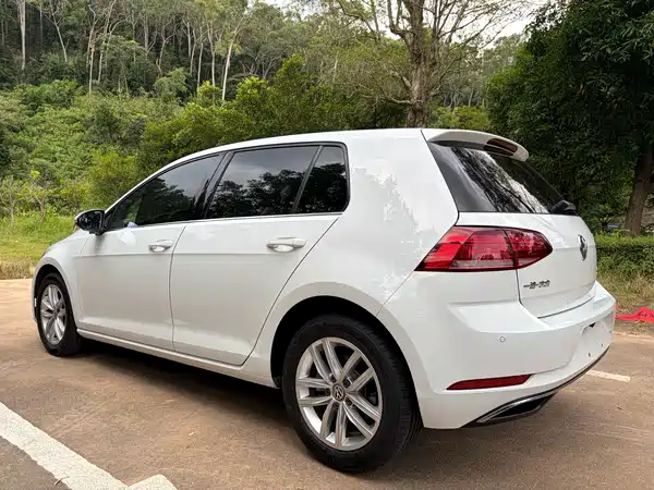 Volkswagen Golf 2019