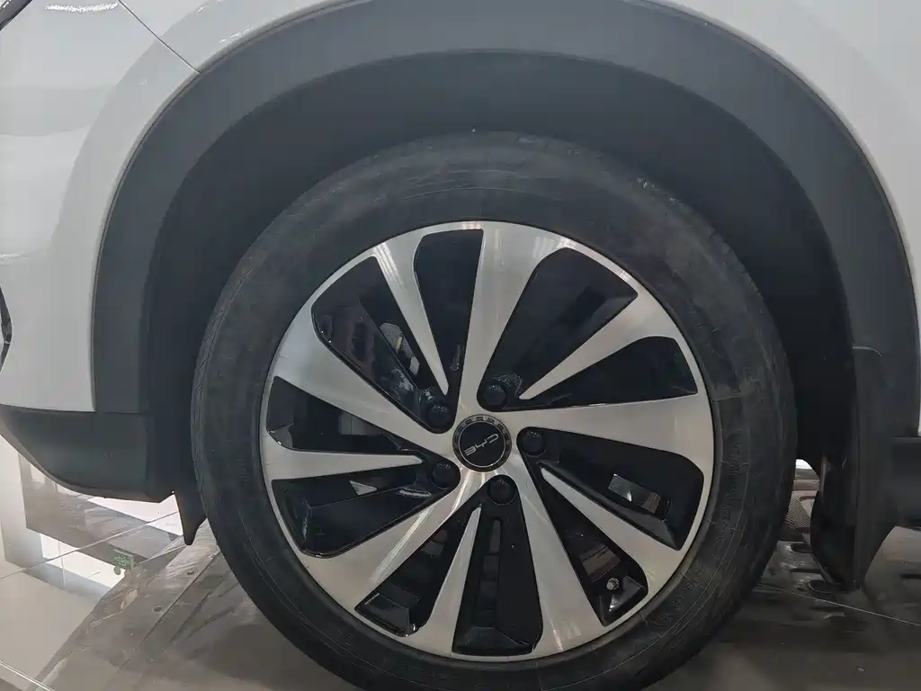 BYD Song PLUS New Energy 2024 — фото 8