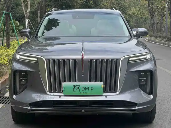 Hongqi E-HS9 2022