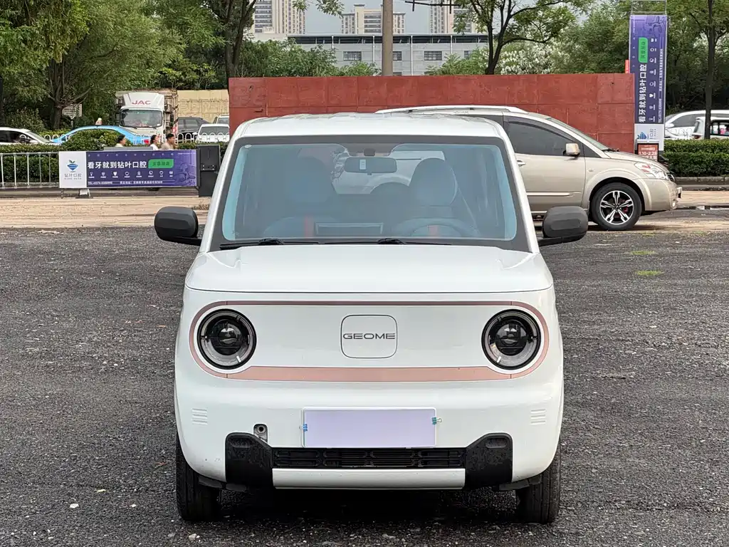 Geely Galaxy Panda 2024