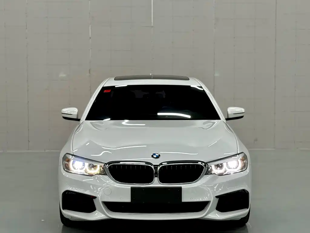 BMW 5 Series 2019