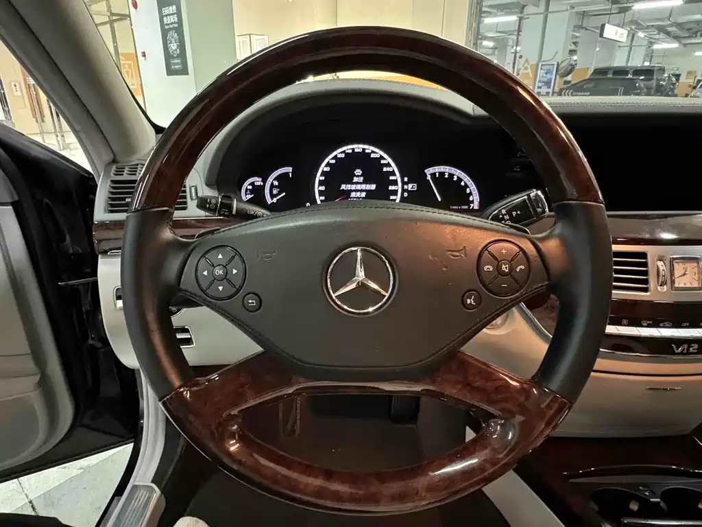 Mercedes-Benz S-Class 2010 — фото 12
