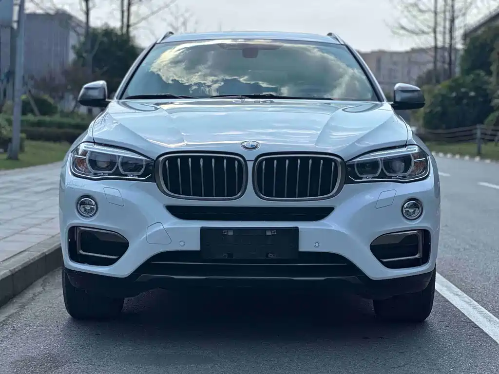 BMW X6 2018 — фото 2