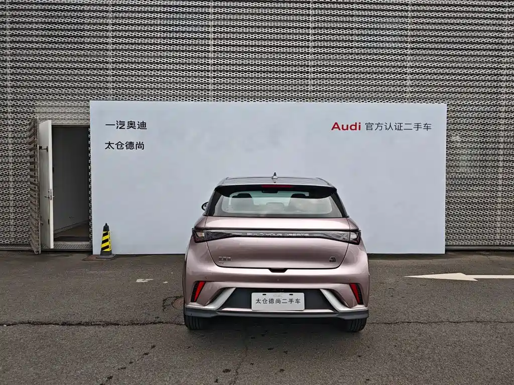 BYD Dolphin 2021