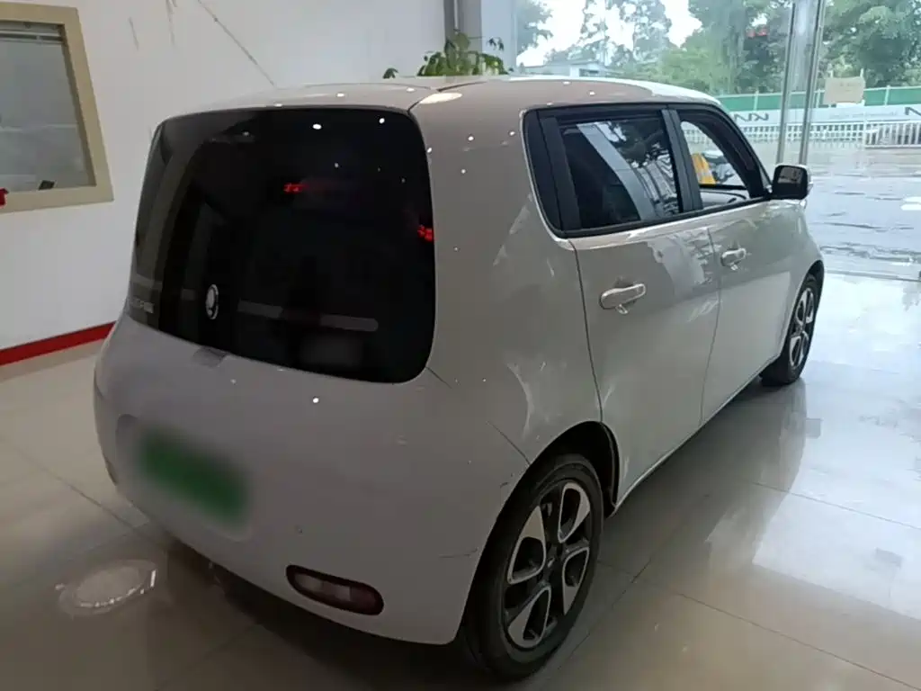 Ora White Cat 2022