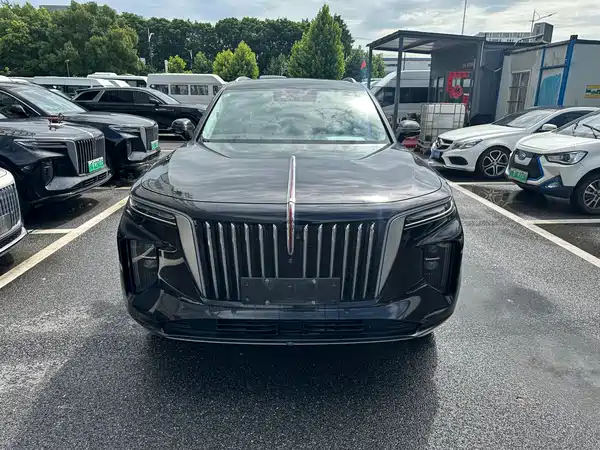 Hongqi E-HS9 2023