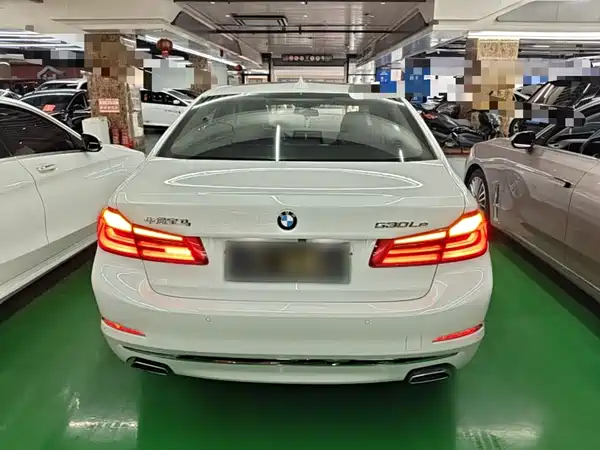 BMW 5 Series New Energy 2020