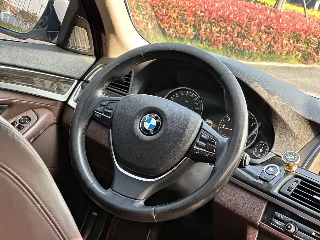 BMW 5 Series 2016 — фото 15