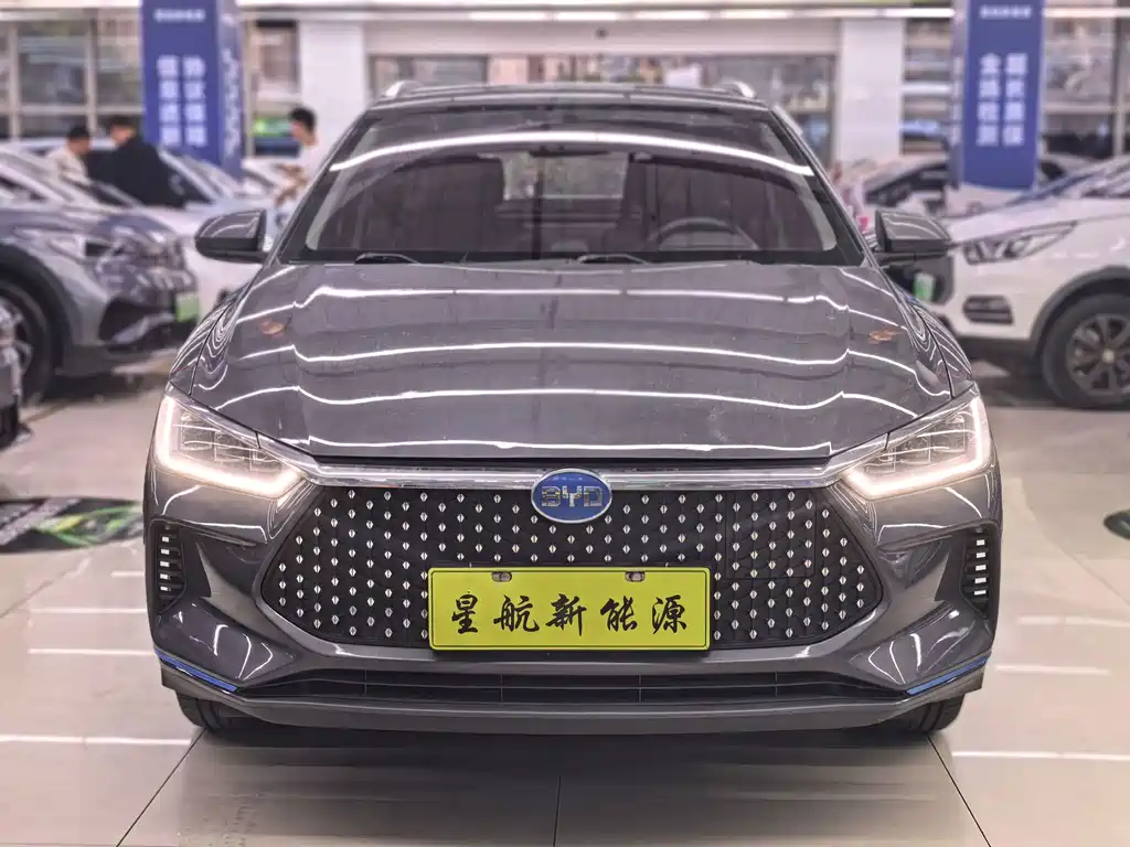 BYD e2 2021