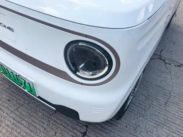 Geely Galaxy Panda 2024