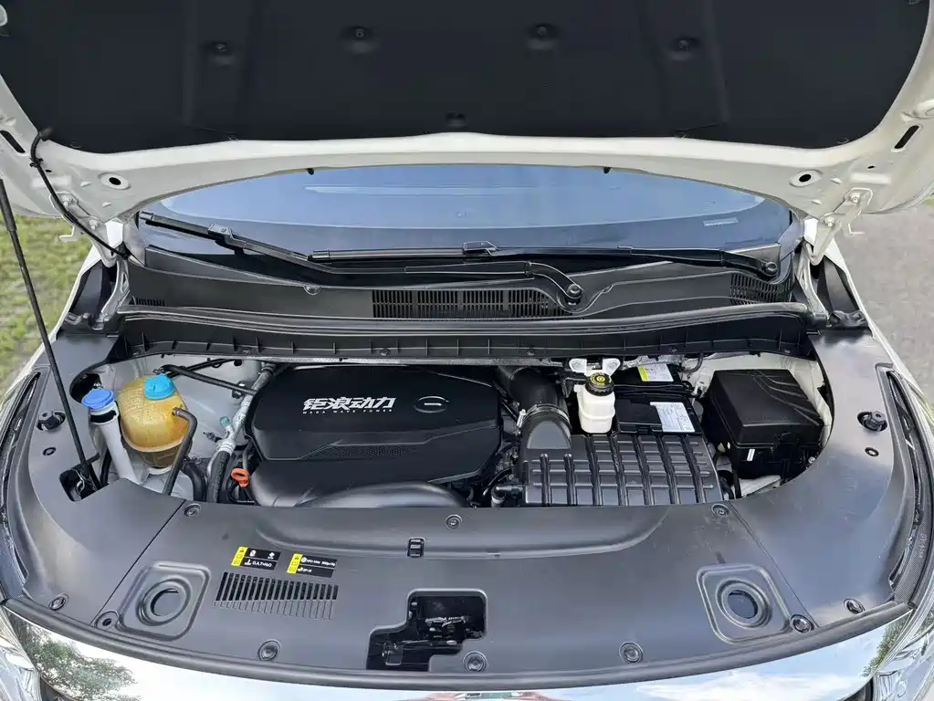 GAC Trumpchi M8 2022 — фото 20