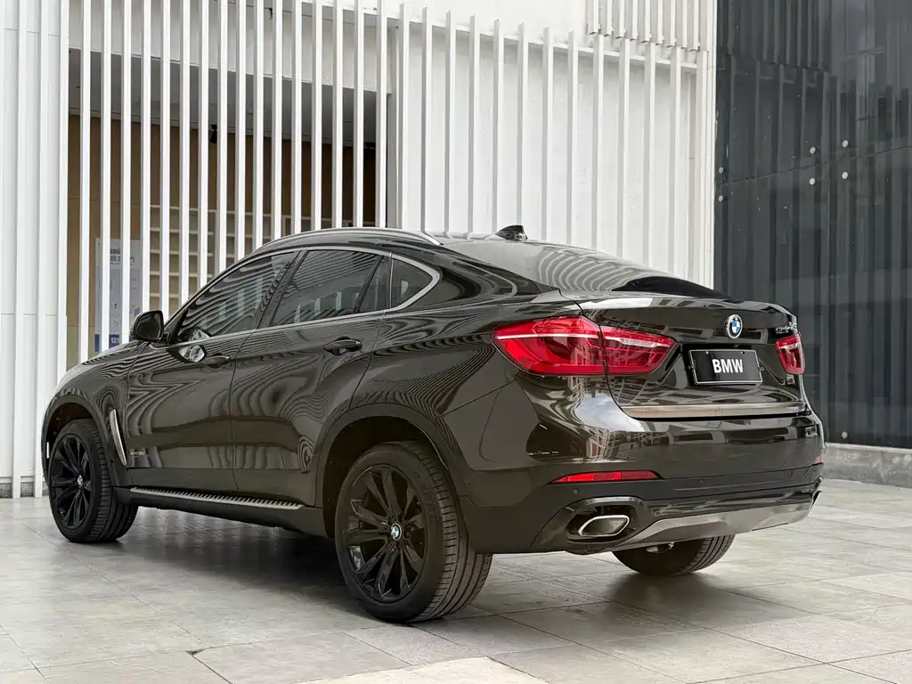 BMW X6 2019 — фото 11