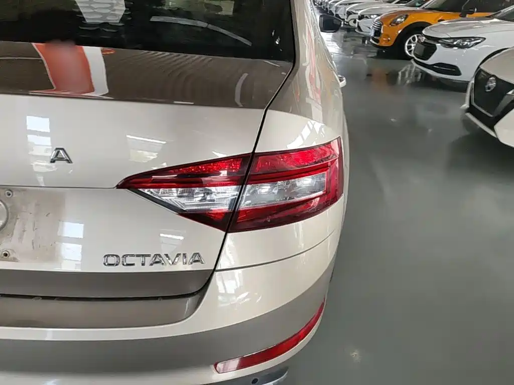 Skoda Octavia 2020 — фото 8