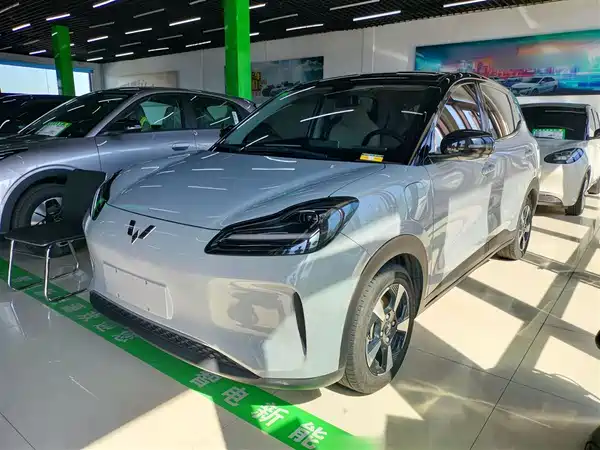 Wuling Bingo PLUS 2024