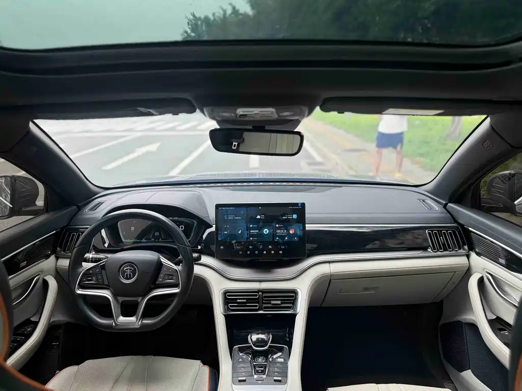 BYD PLUS New Energy 2022 — фото 10