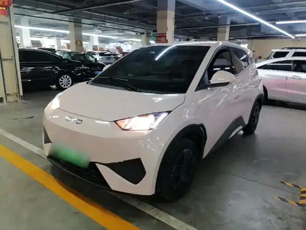 BYD Seagull 2025