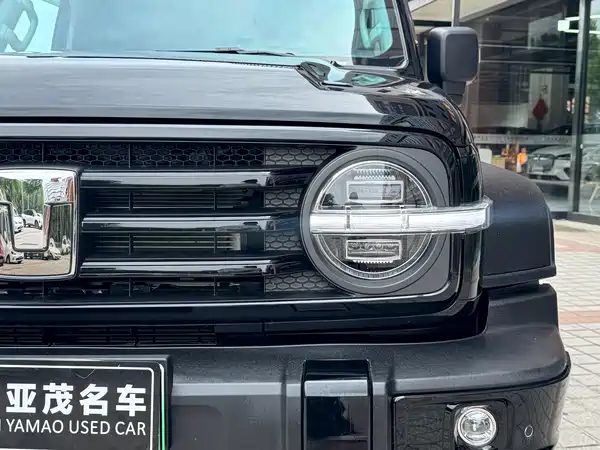 Tank 300 New Energy 2026