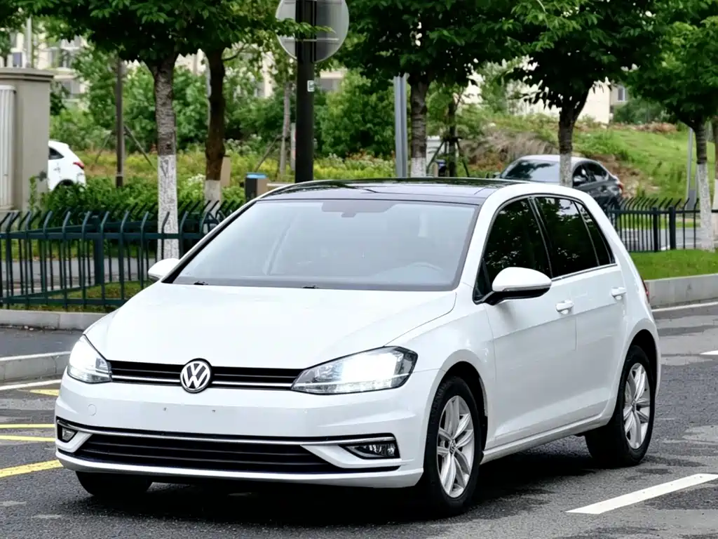 Volkswagen Golf 2019 — фото 1